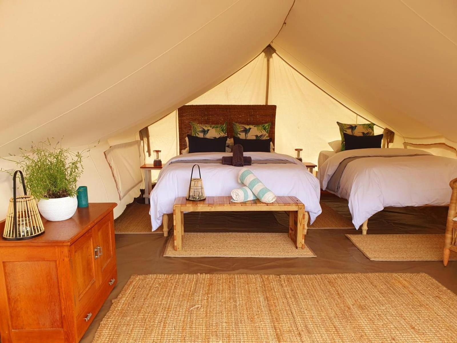 Leopard Valley Eco Retreat Citrusdal Room photo